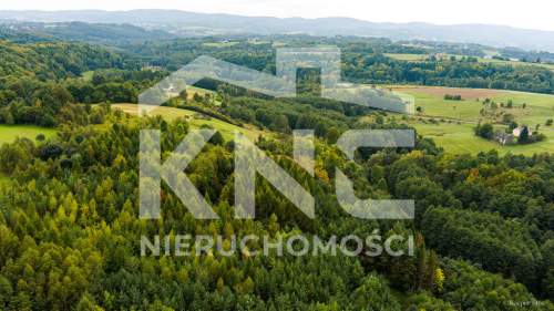Na sprzedaż działki w Zalasowej