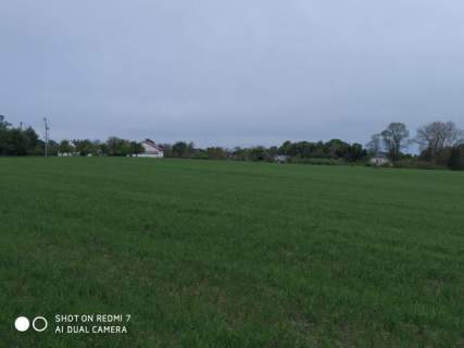 Czernin uzbrojona działka budowlana o pow. 1620 m2