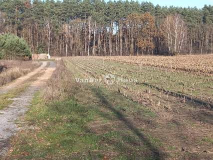 Działki Lipki świetna lokalizacja