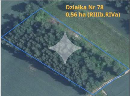 Sprzedam urokliwe siedlisko z działkami