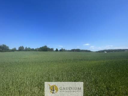 Działka o powierzchni 3012 m2 I gm Kolbudy