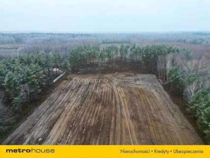Top lokalizacja S17 4,7 ha pod centrum logistyczne