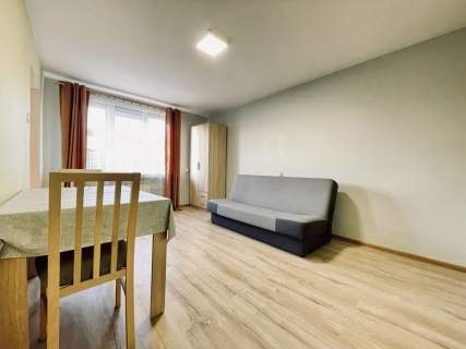 Centrum Piwnica Parking Park miejski 