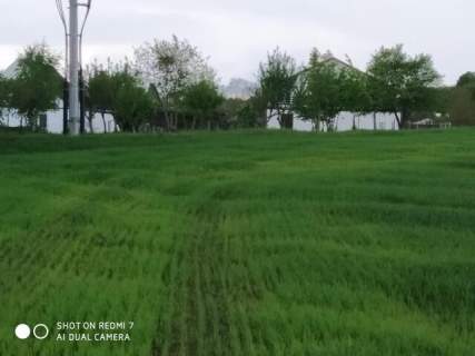 Czernin uzbrojona działka budowlana o pow. 1620 m2