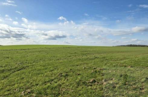Na sprzedaż działka budowlana   Lędzin, 1312 m2
