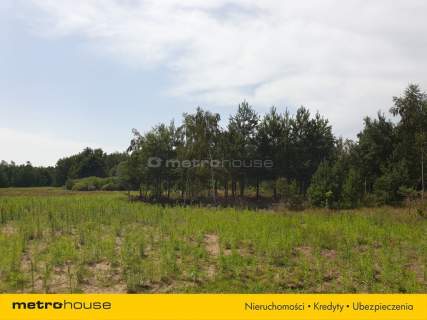 Działka na sprzedaż, 21600 m2, Blinno
