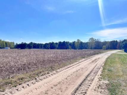 Spokój, natura, potencjał - 1,7 ha działki 