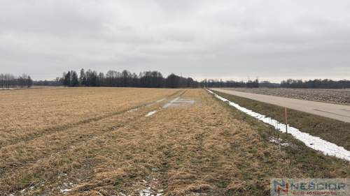 Trzy działki budowlane   ul. Ogrodowa, Wiśniew