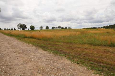 Działka budowlana na sprzedaż, 1500 m2, Charzyno