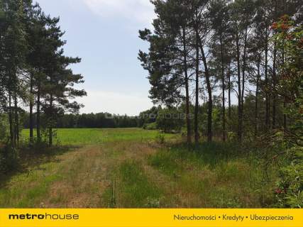 Działka na sprzedaż, 15000 m2, Blinno