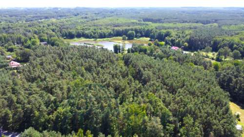 Rydzynki/Zofiówka 2998m2 pod dom bez kompromisów.