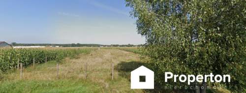 Działka 7001 m z MPZP Nowa Pecyna