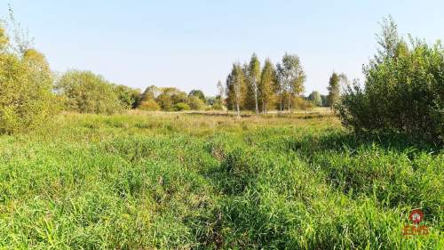 Ciasne. Działka budowlana 5100 m2.