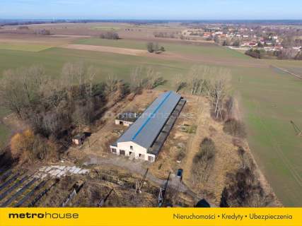 Nieruchomość inwestycyjna w Dłużynie Dolnej 