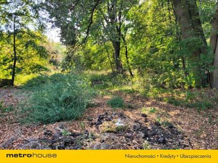 Działka budowlana 2.6 ha z zabytkowym pałacem.
