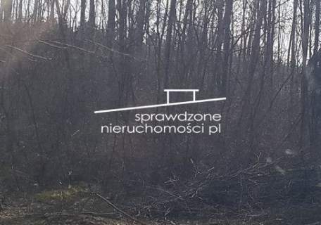 Działka 3ha budowlano-leśna