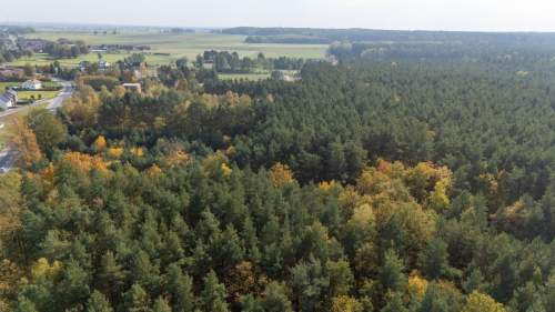 Działka usługowa,4,9ha przy DK11 blisko S11,