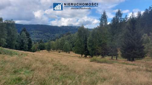 Działki inwestycyjno-budowlane Duszniki-Zdrój, SKI