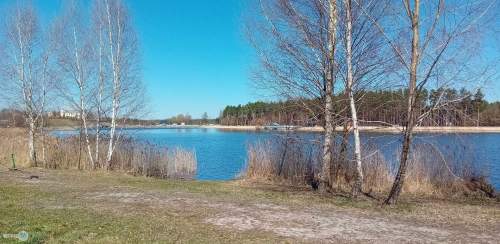 Nieruchomość nad zalewem z prywatnym lasem 