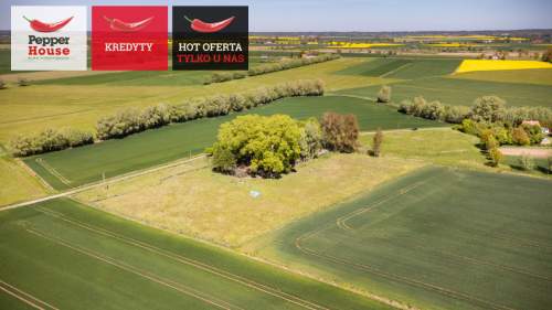 Dom na sprzedaż, 216,2 m2, Świerznica