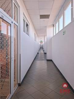 Hala - magazyn 700 m2