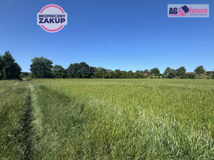 Inwestycyjna działka - Świbno
