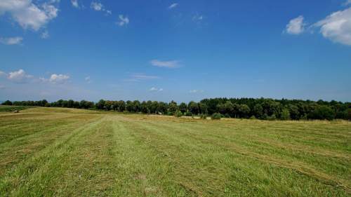Działka - Łęcze