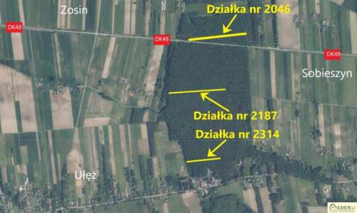 Sprzedam Działki Leśne we wsi Ułęż