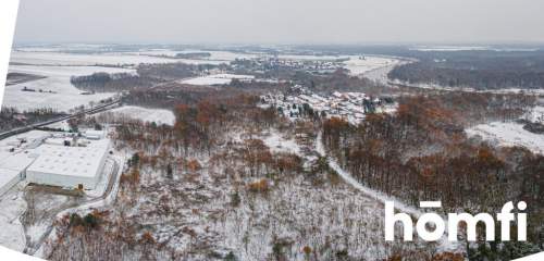 GRUNTY INWESTYCYJNE W POGALEWIE WIELKIM - 9,43 HA