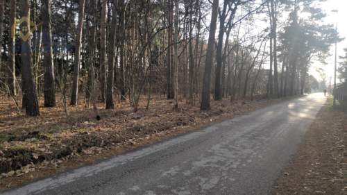 Sprzedam działkę budowlaną w Kuznocinie 1495 m2