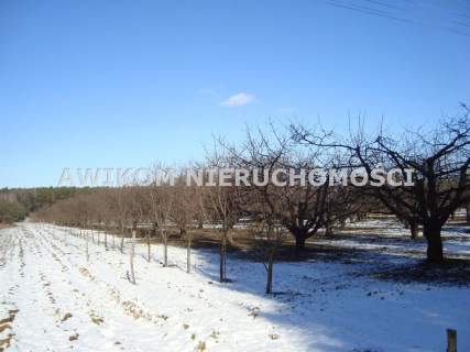 Działka siedliskowa na sprzedaż, 12248 m2, Petrykozy