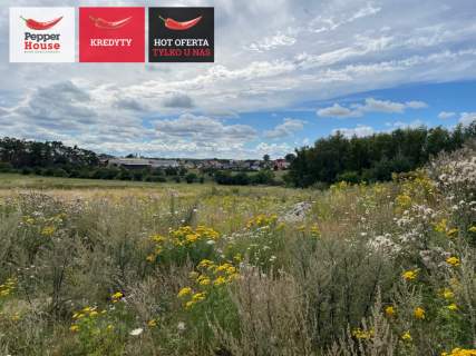 Wyjątkowa działka 1 km od morza - Pierwoszyno