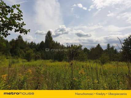 Działka inwestycyjna na sprzedaż, 10773 m2, Cisie