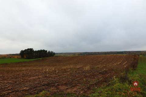 Działka rolno-budowlana - Żegary, gm. Sejny