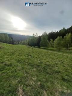 Działki inwestycyjno-budowlane Duszniki-Zdrój, SKI