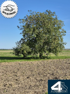 Dom na wsi szuka nabywcy.