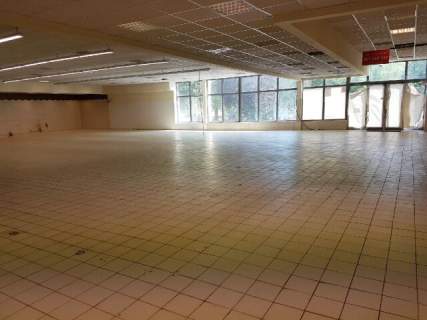Lokal w centrum Konina - duży budynek 558m2- wynajmę 