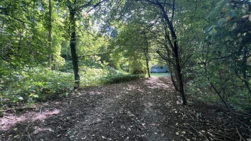 Inwestycyjna działka w Sierczy 39 ar, PUM 1000 m