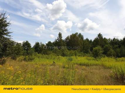 Działka inwestycyjna na sprzedaż, 10773 m2, Cisie