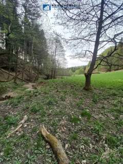 Działki inwestycyjno-budowlane Duszniki-Zdrój, SKI
