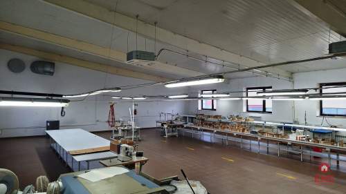 Lokal użytkowy 300 m2 na wynajem