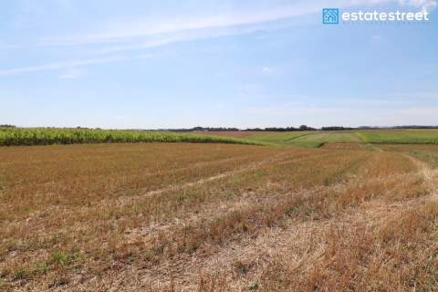 1,12 ha działka budowlano-rolna - Lesieniec