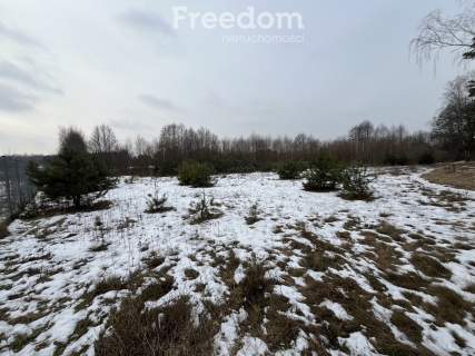 Działka z warunkami zabudowy w Kopaninie