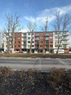 Lokal witryna 59m2 między Hertem a Blumisiem