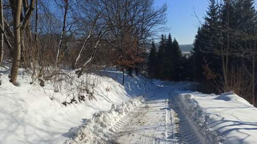 Gotowy biznes turystyczny - 4 domy. Bieszczady - 1,25 ha