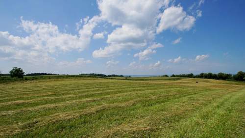 Działka - Łęcze