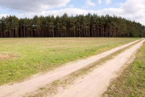 Wizany 1356 m cisza i spokój działka z dojazdem asfaltowym