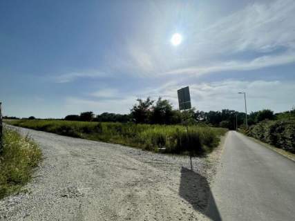 Działka 200m od lasu Brzezina
