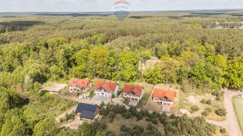 WOLNOSTOJĄCY LAS CISZA SĘKOWO natura
