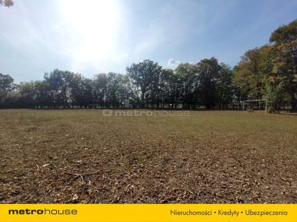 Działka budowlana 2.6 ha z zabytkowym pałacem.